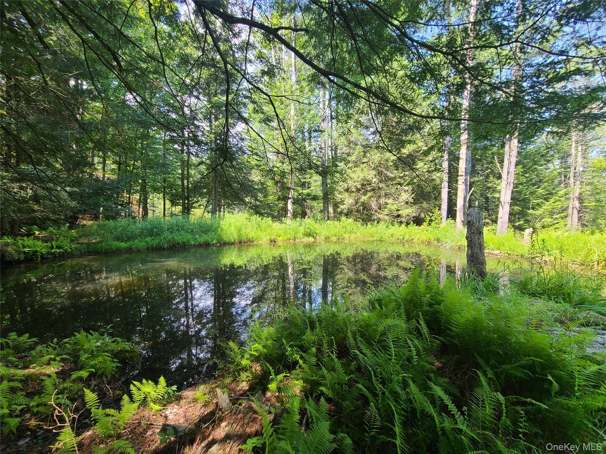 28 Martin Lane, Mongaup Valley, NY 12762