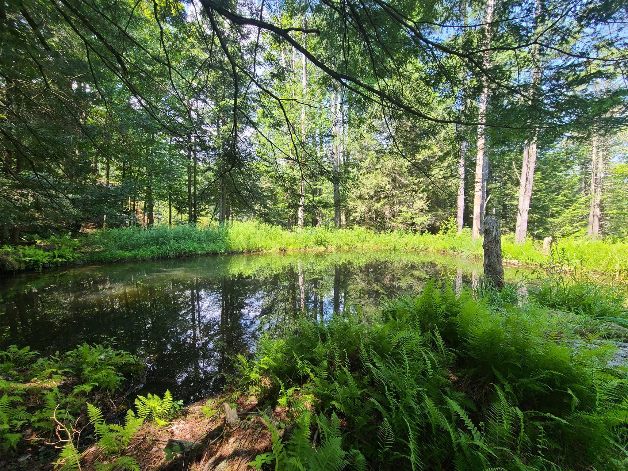 28 Martin Lane, Mongaup Valley, NY 12762