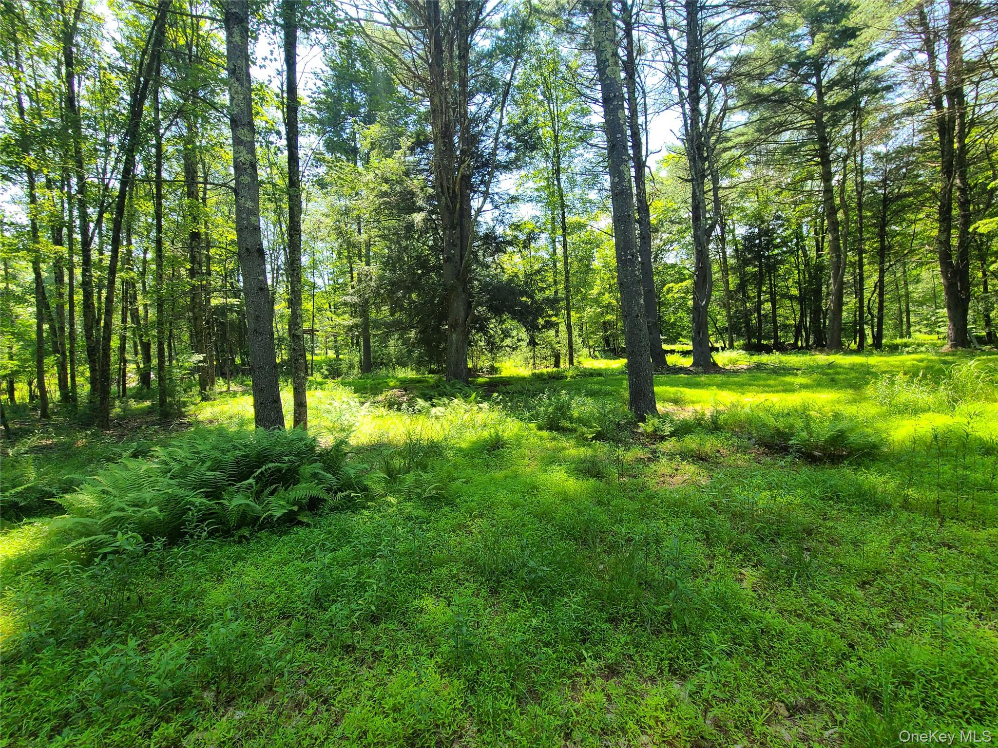 28 Martin Lane, Mongaup Valley, NY 12762