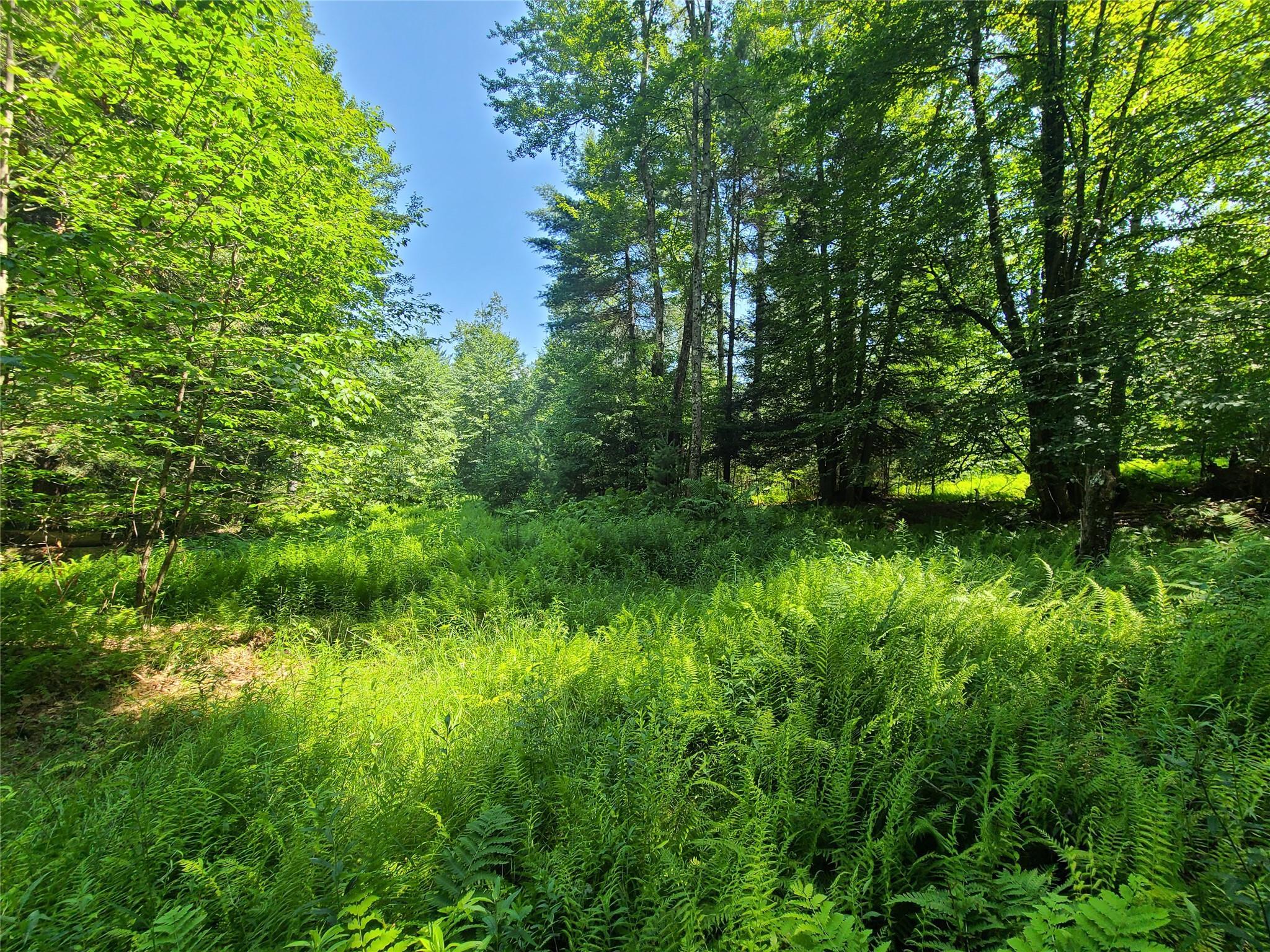 28 Martin Lane, Mongaup Valley, NY 12762