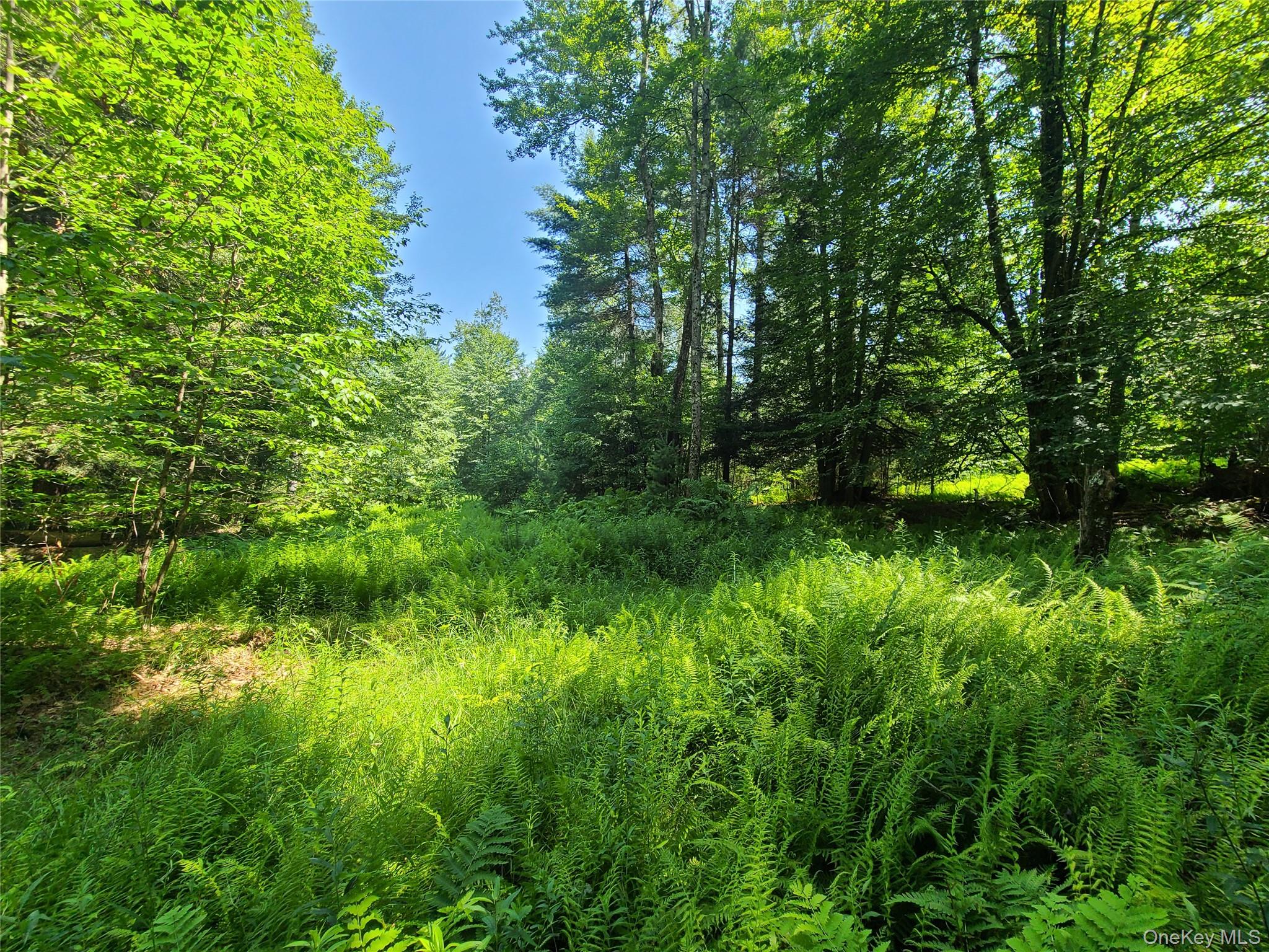 28 Martin Lane, Mongaup Valley, NY 12762