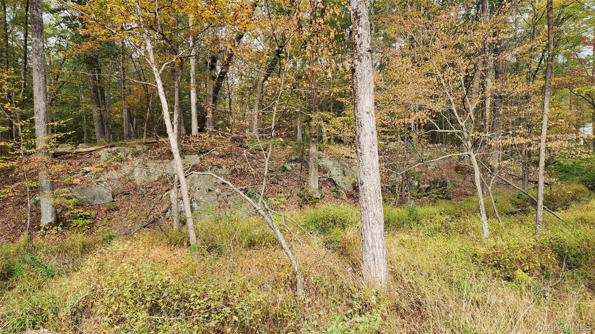 11 Stoutenburgh Drive, Hyde Park, NY 12538