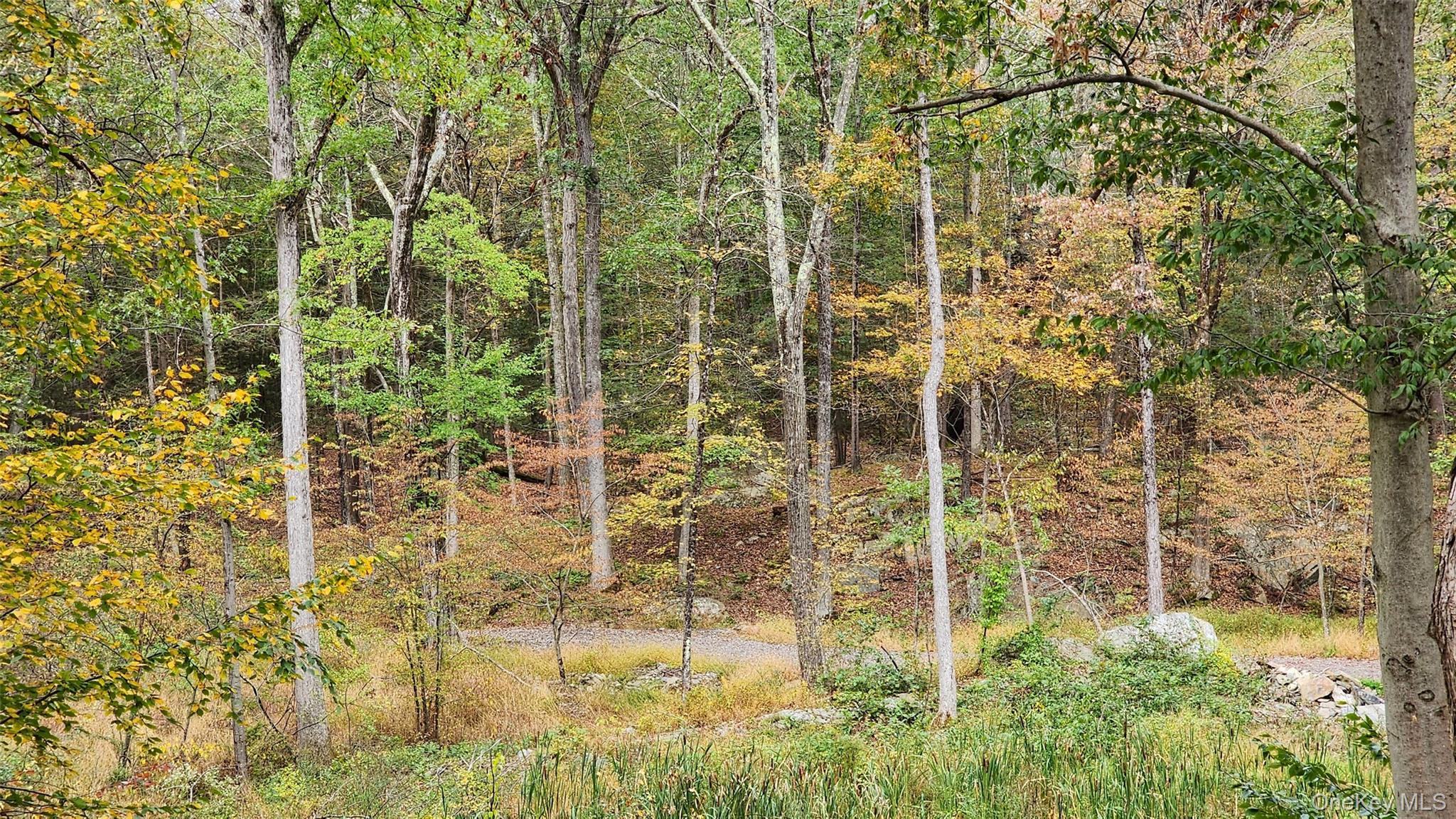 11 Stoutenburgh Drive, Hyde Park, NY 12538