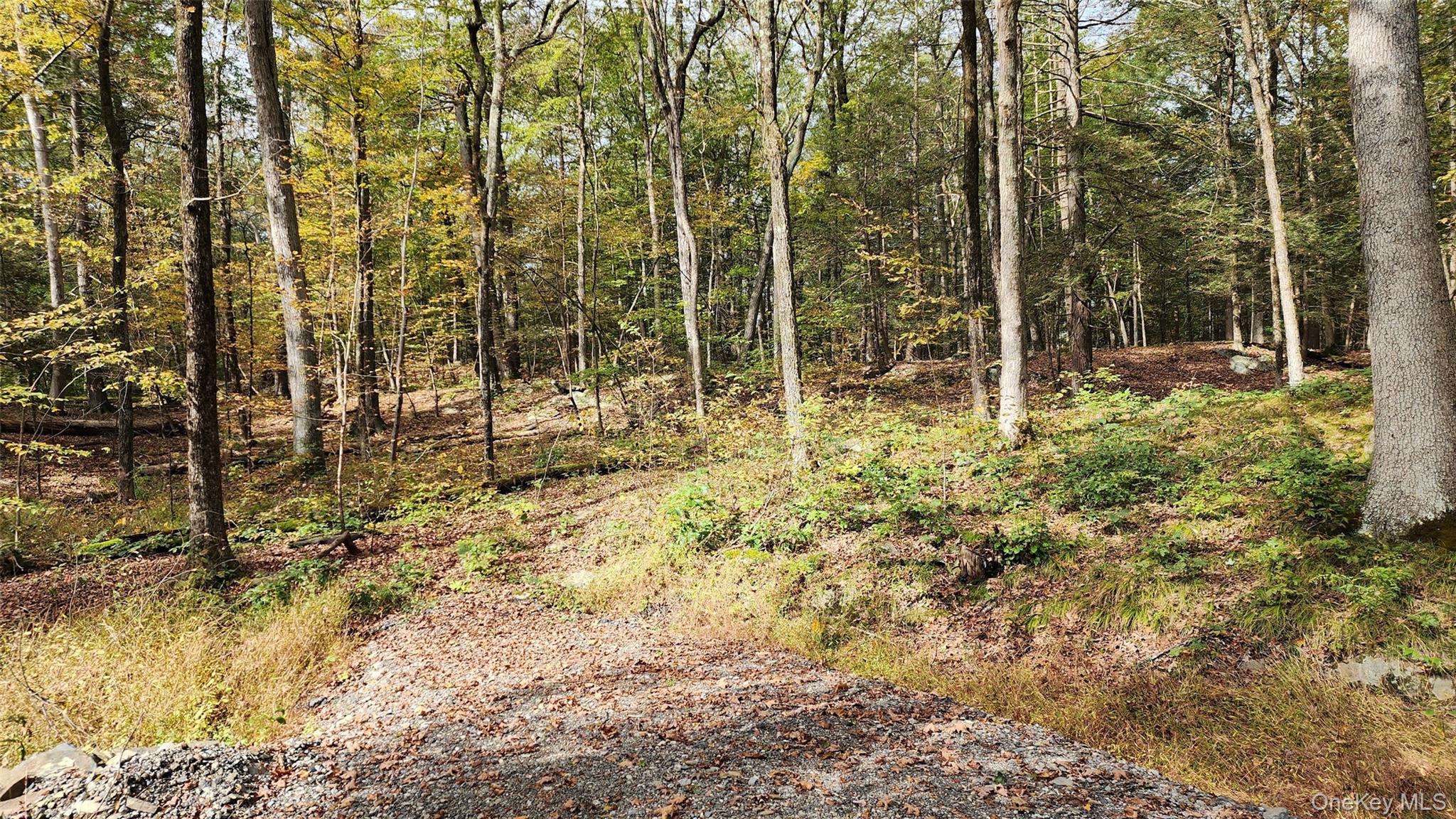 11 Stoutenburgh Drive, Hyde Park, NY 12538