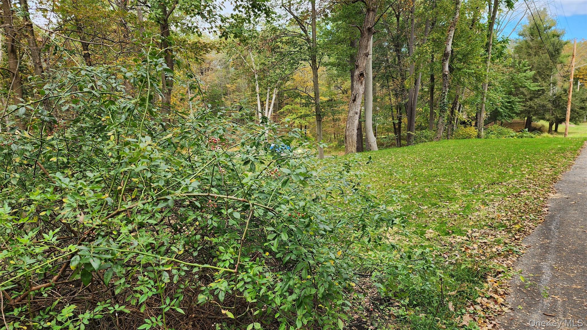 11 Stoutenburgh Drive, Hyde Park, NY 12538