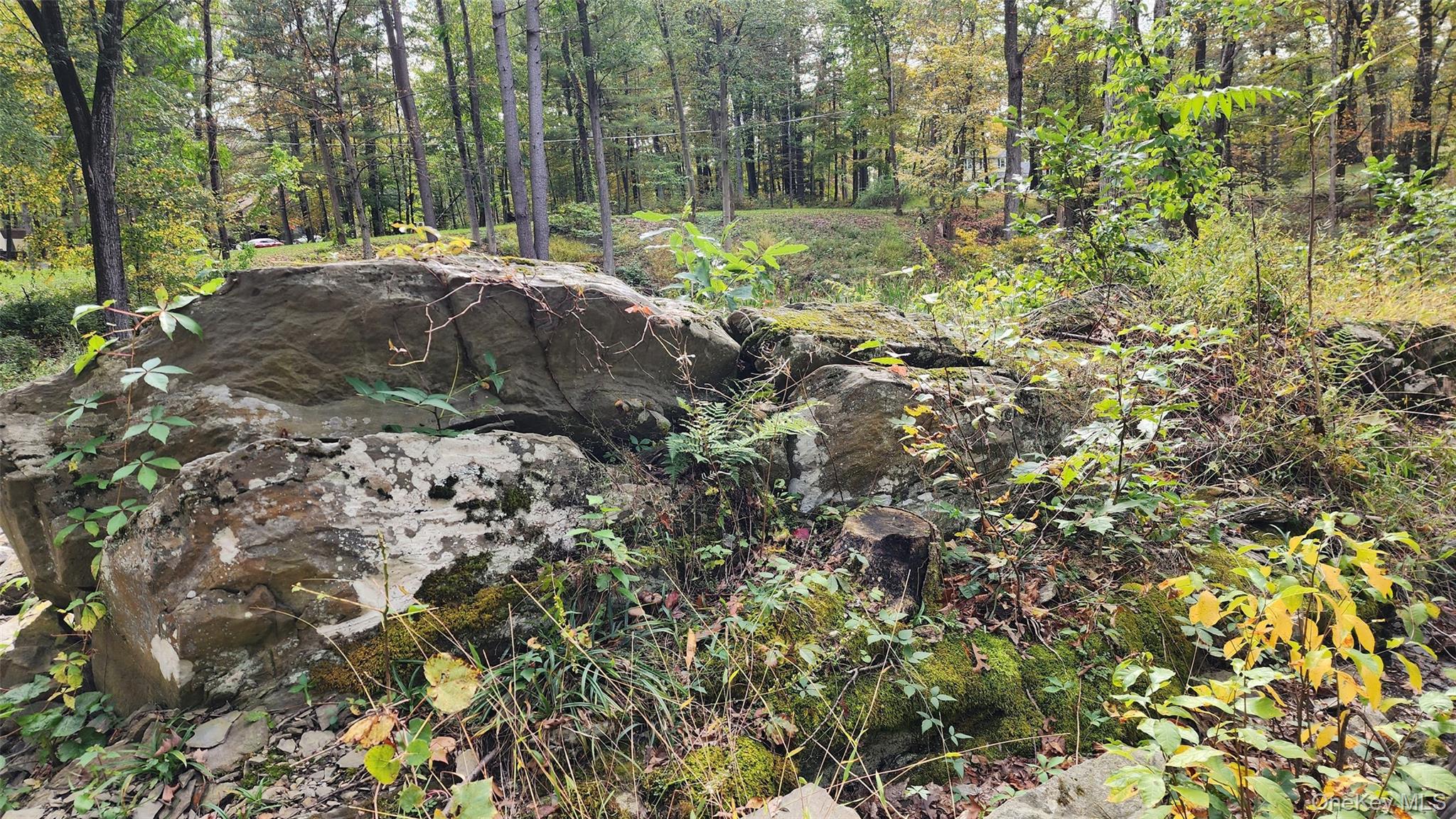 11 Stoutenburgh Drive, Hyde Park, NY 12538