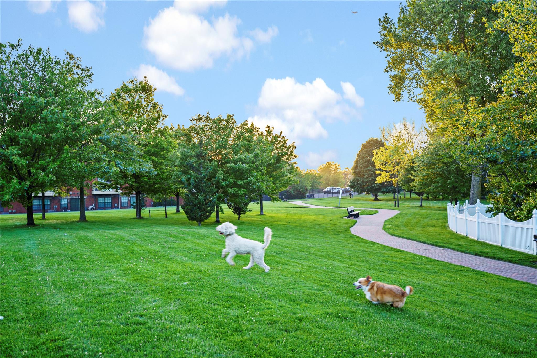 3-17 Endeavor Place # C, College Point, NY 11356