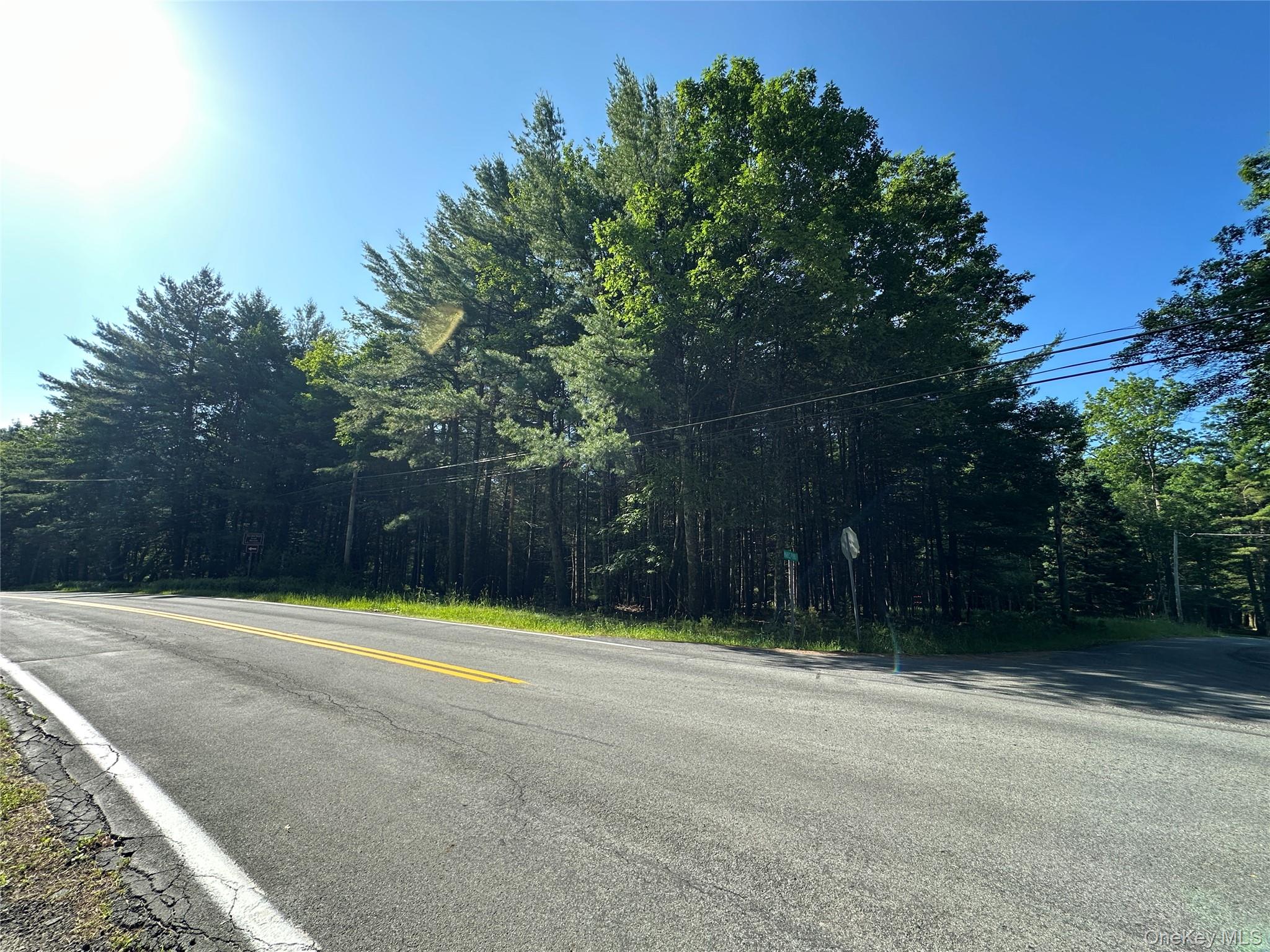 954 Rt 23 Lumberland Mt Hope Road, Narrowsburg, NY 12764