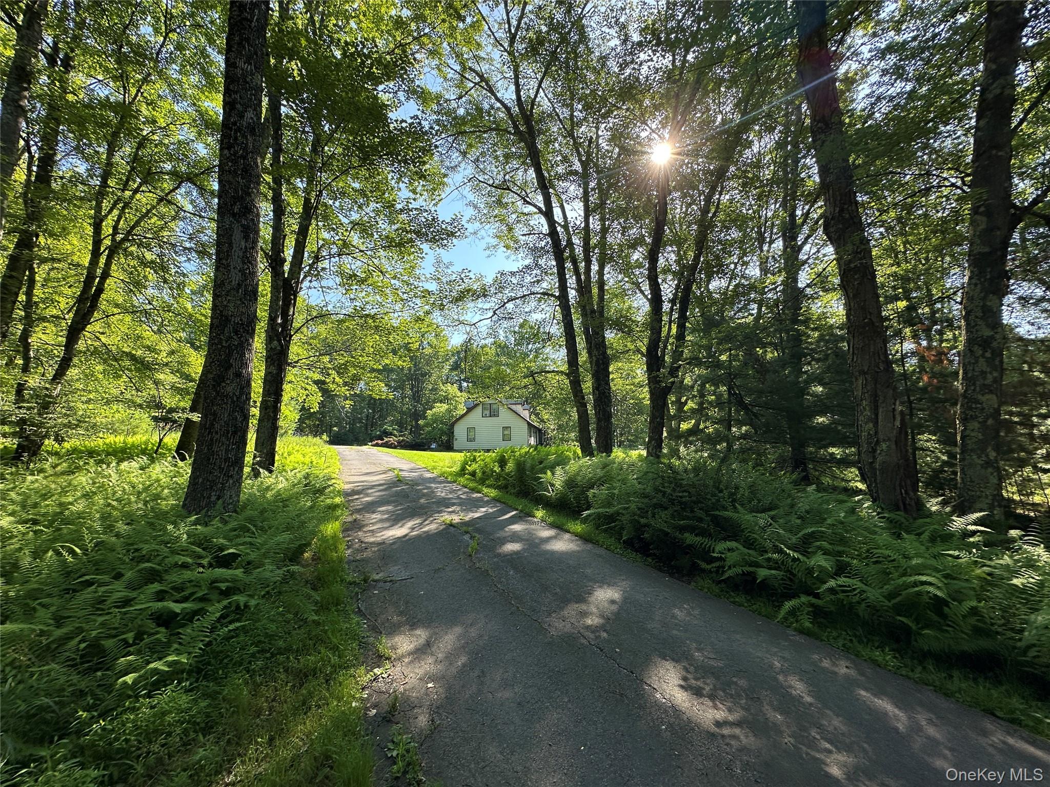 954 Rt 23 Lumberland Mt Hope Road, Narrowsburg, NY 12764