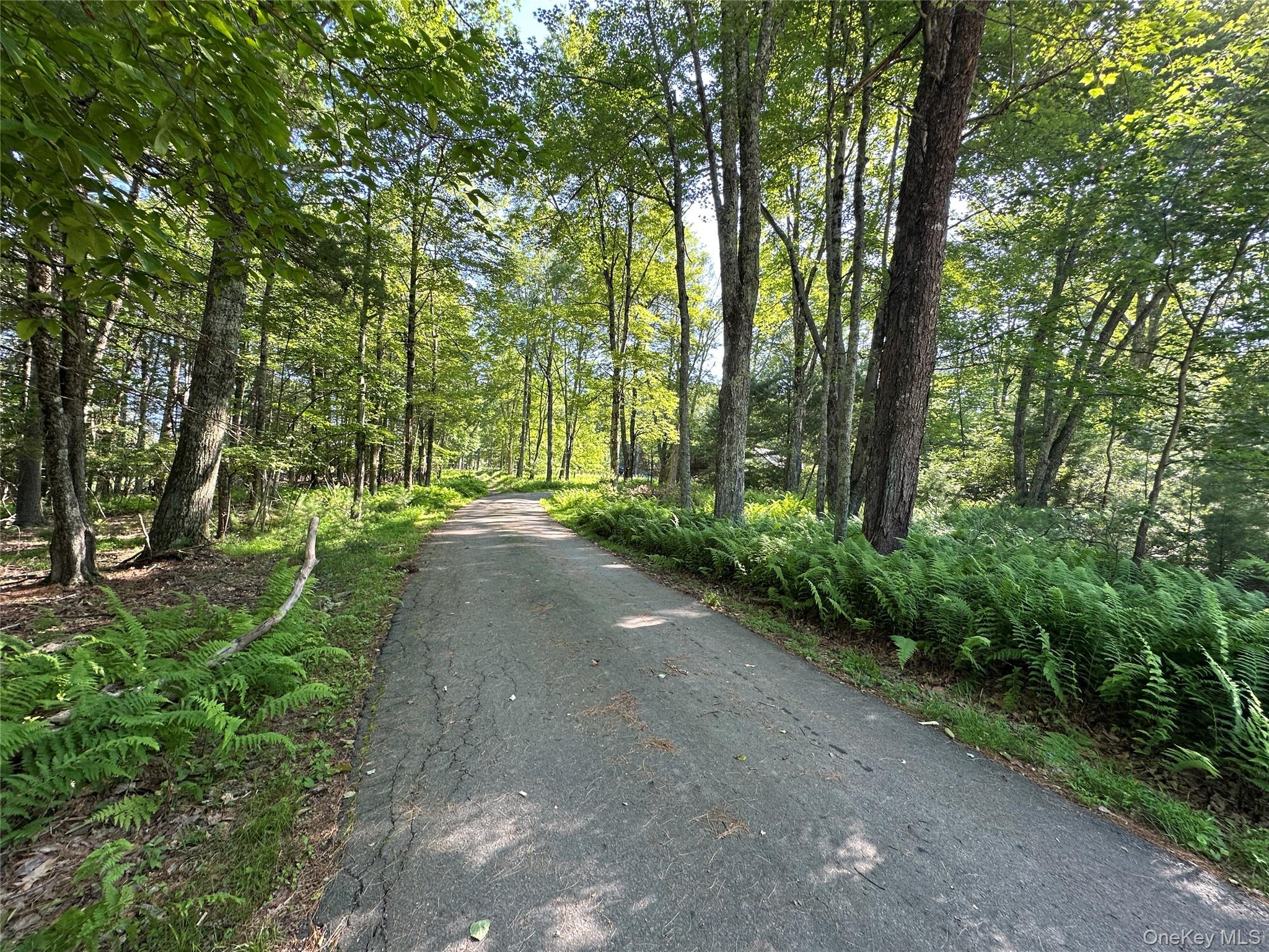 954 Rt 23 Lumberland Mt Hope Road, Narrowsburg, NY 12764