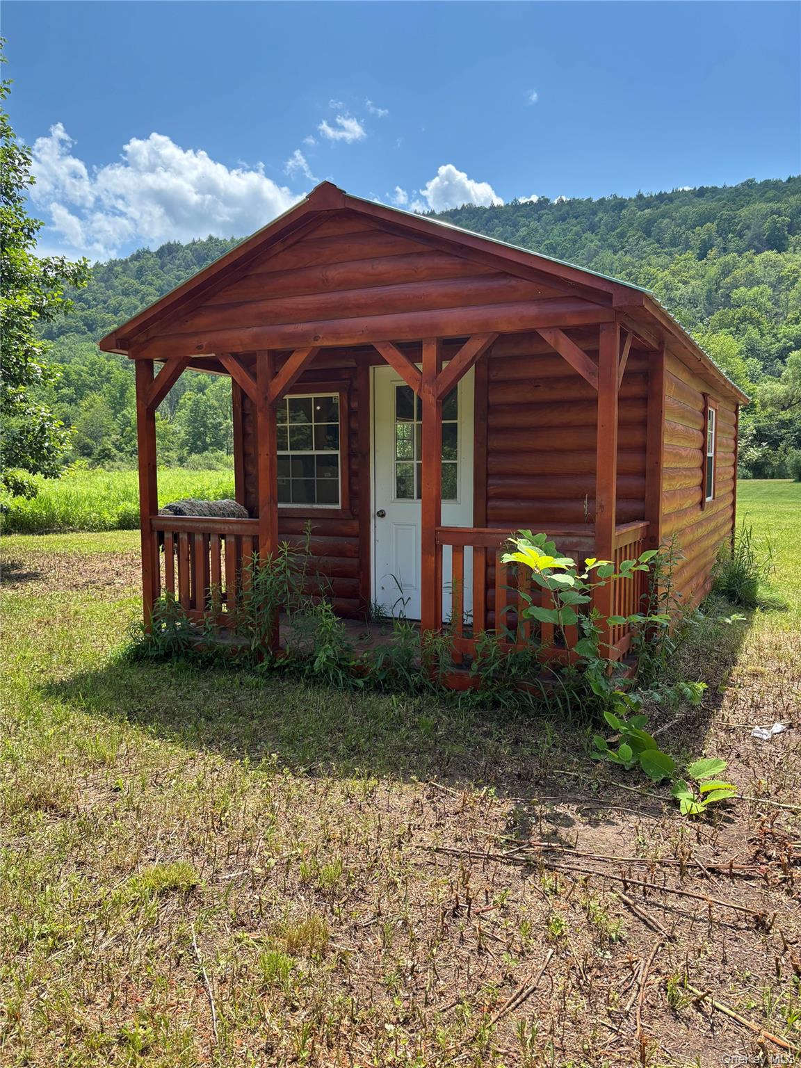 310 River, Deposit, NY 13754