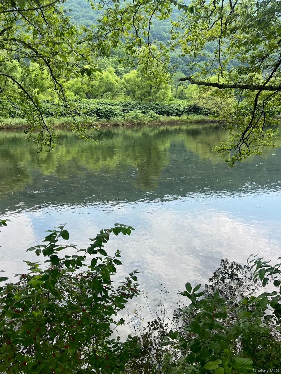 310 River, Deposit, NY 13754