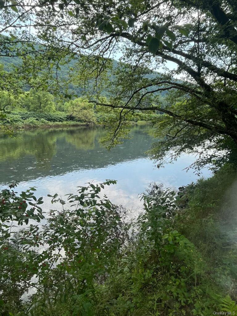 310 River, Deposit, NY 13754