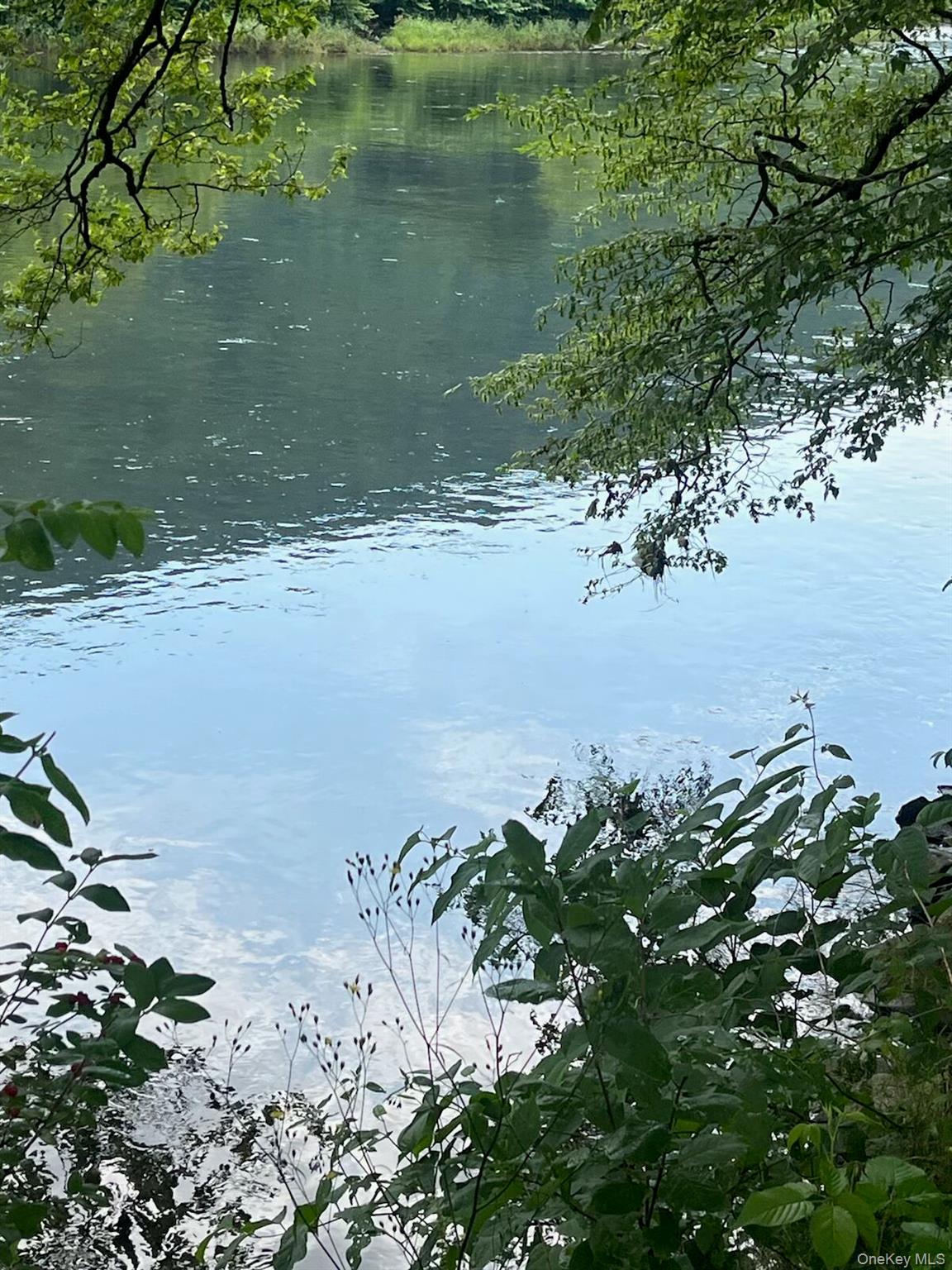 310 River, Deposit, NY 13754