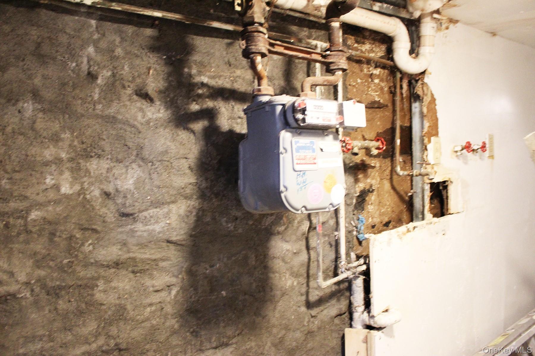 1731 White Plains Road, Bronx, NY 10462