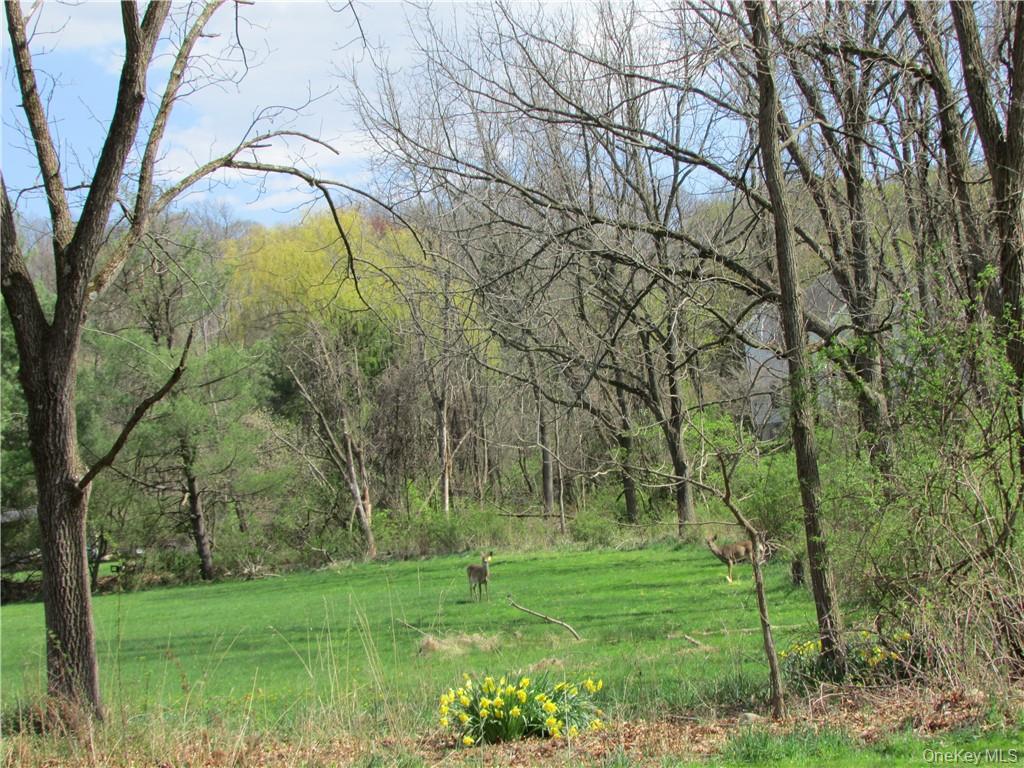 10 Tomily Road, Cornwall, NY 12518