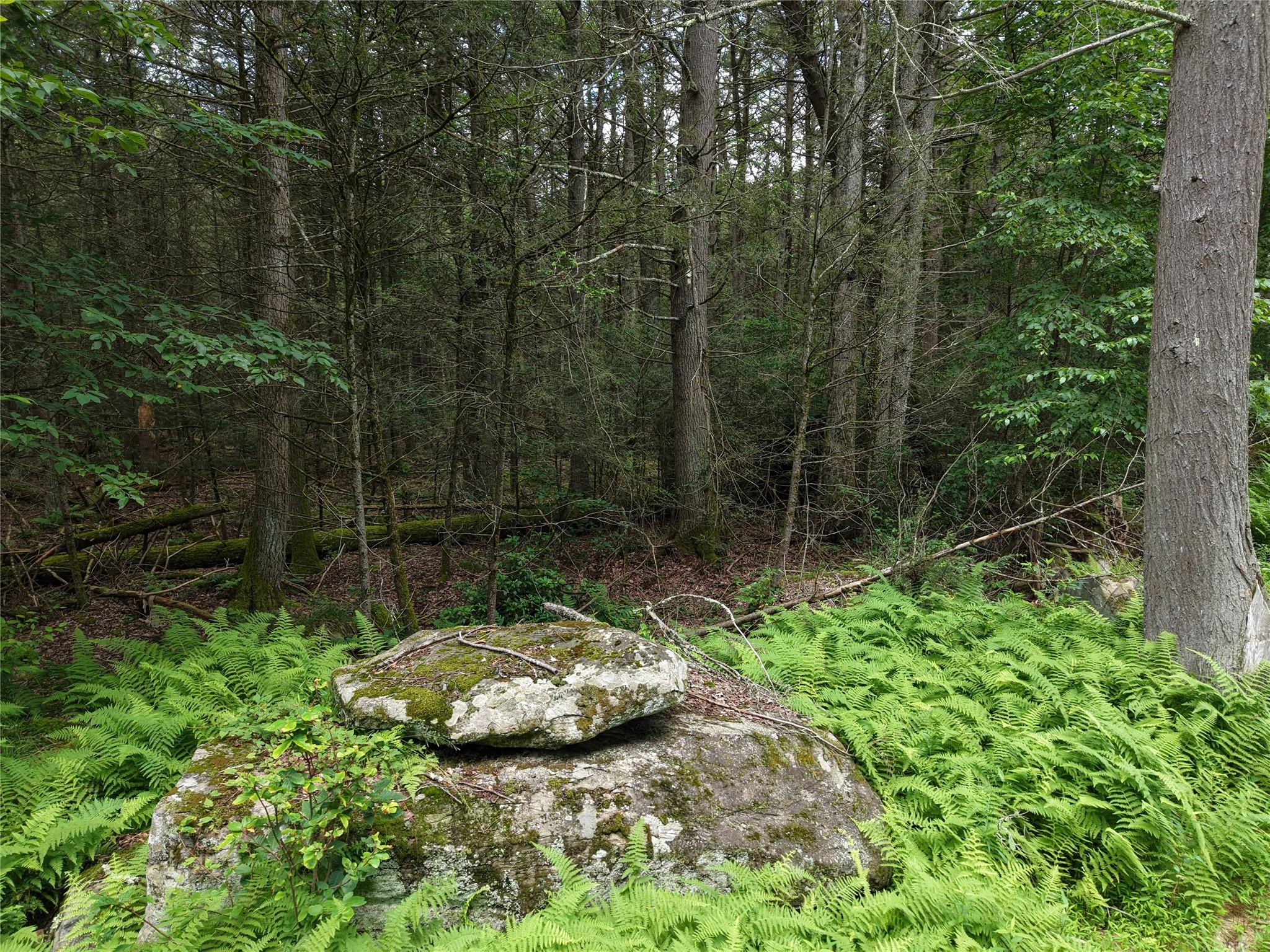 Leins Road, Woodbourne, NY 12733