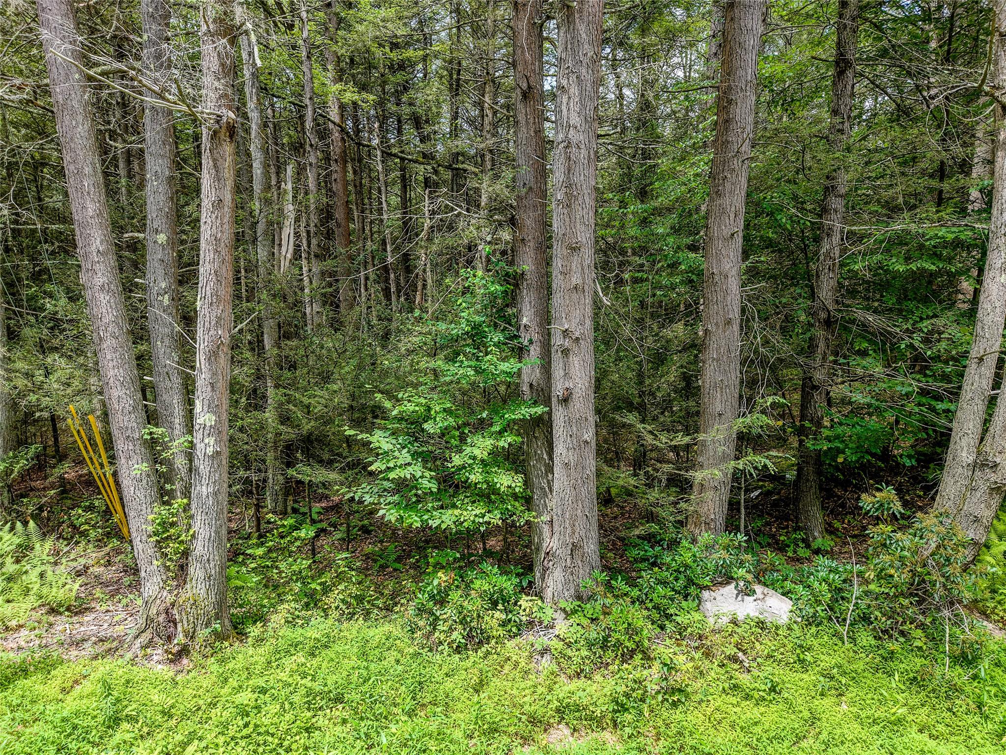 Leins Road, Woodbourne, NY 12733