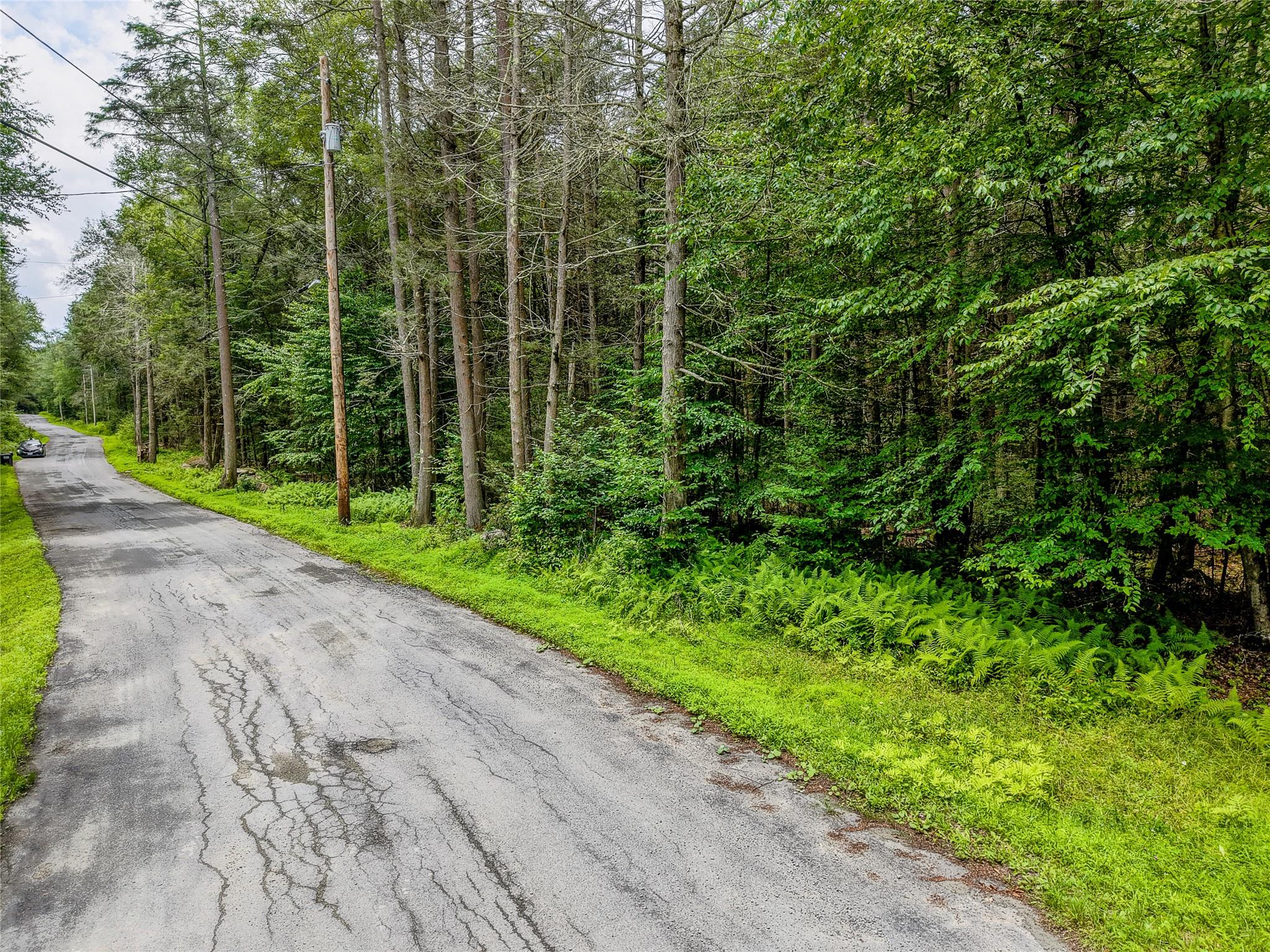 Leins Road, Woodbourne, NY 12733