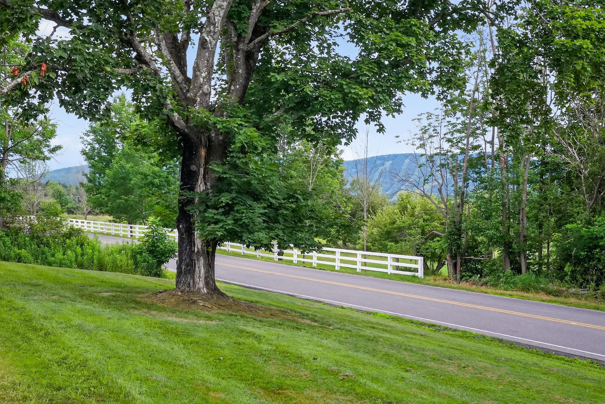 442 Mitchell Hollow Road, Windham, NY 12496