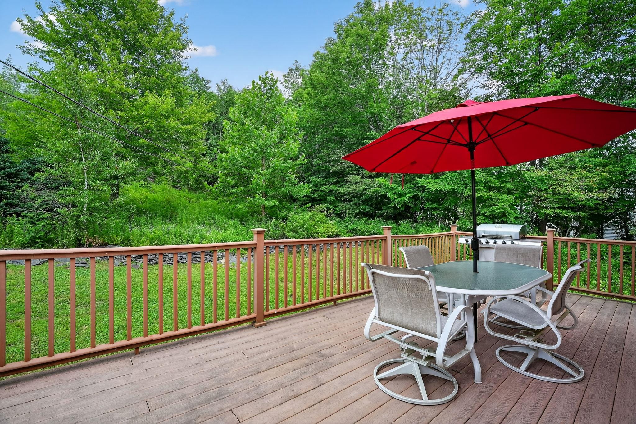 442 Mitchell Hollow Road, Windham, NY 12496