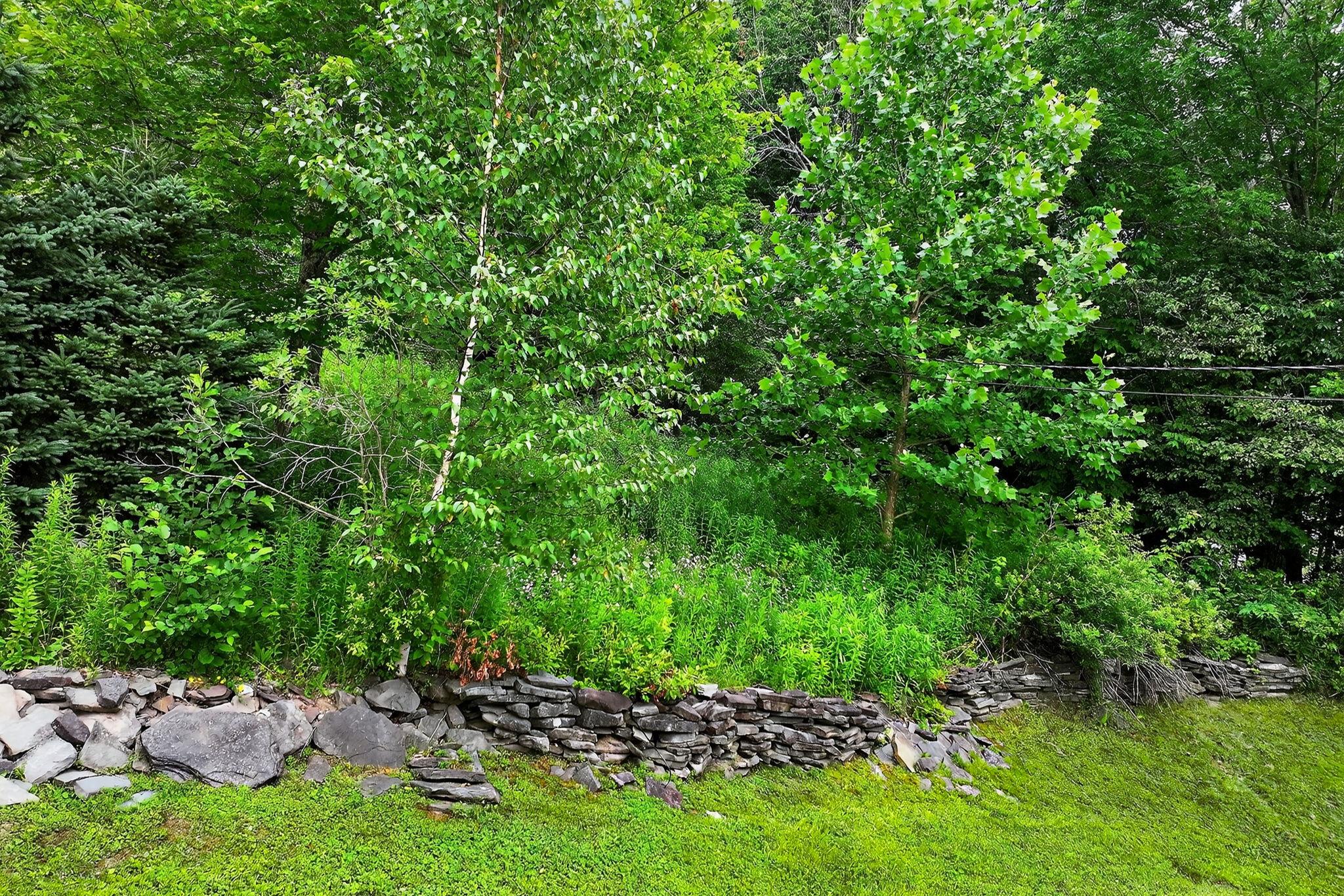 442 Mitchell Hollow Road, Windham, NY 12496