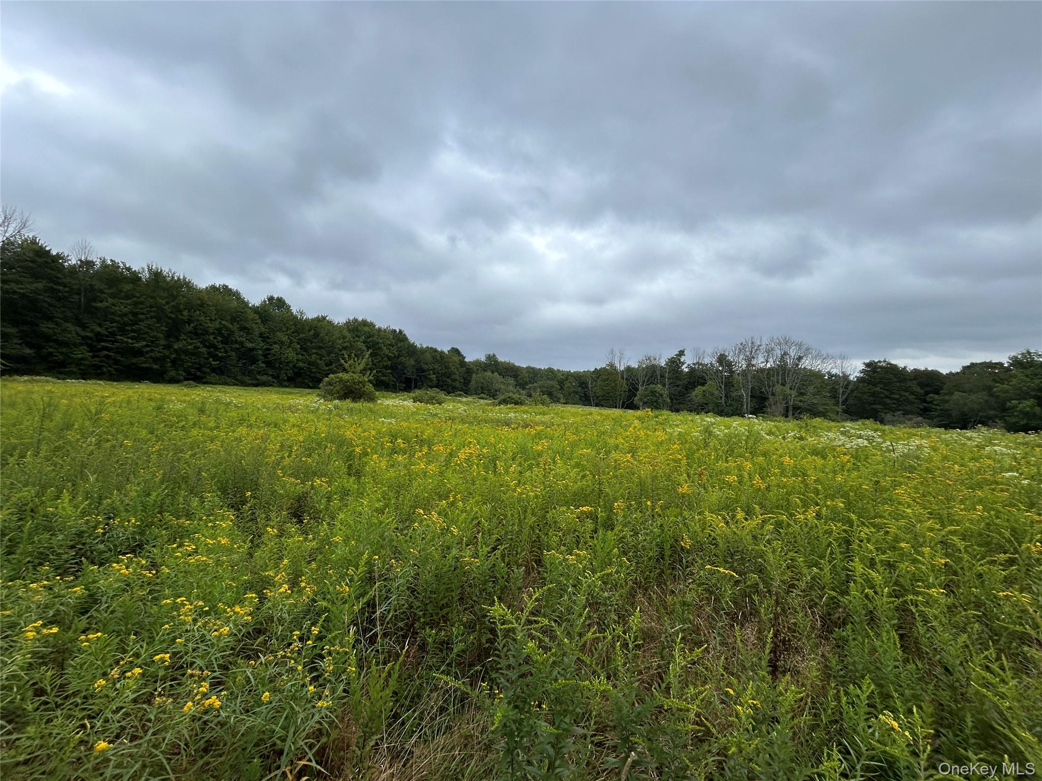 TBD Ahrens Road, Parksville, NY 12768