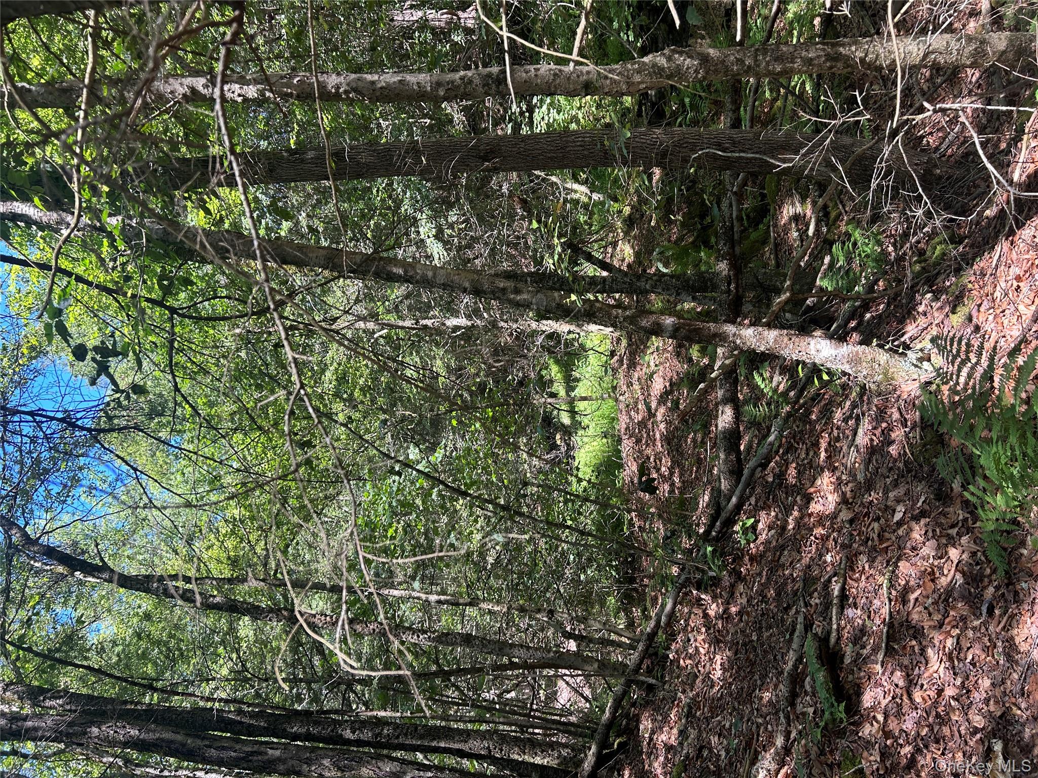 TBD Ahrens Road, Parksville, NY 12768