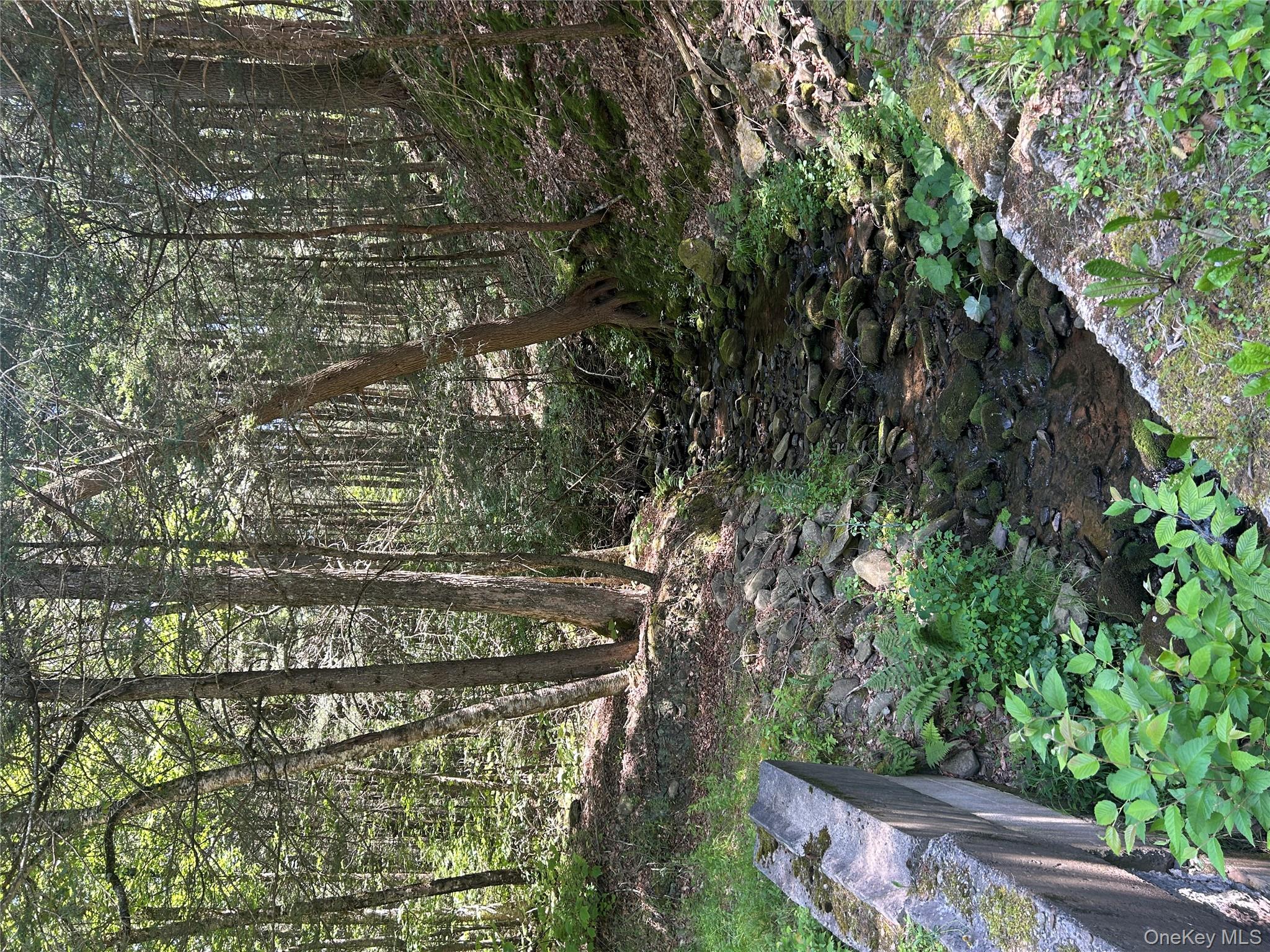 TBD Ahrens Road, Parksville, NY 12768