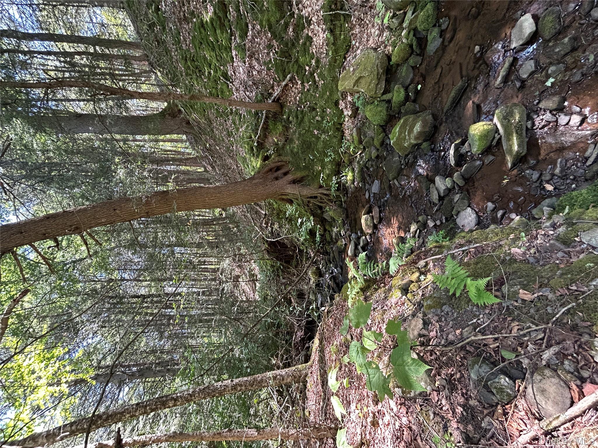 TBD Ahrens Road, Parksville, NY 12768