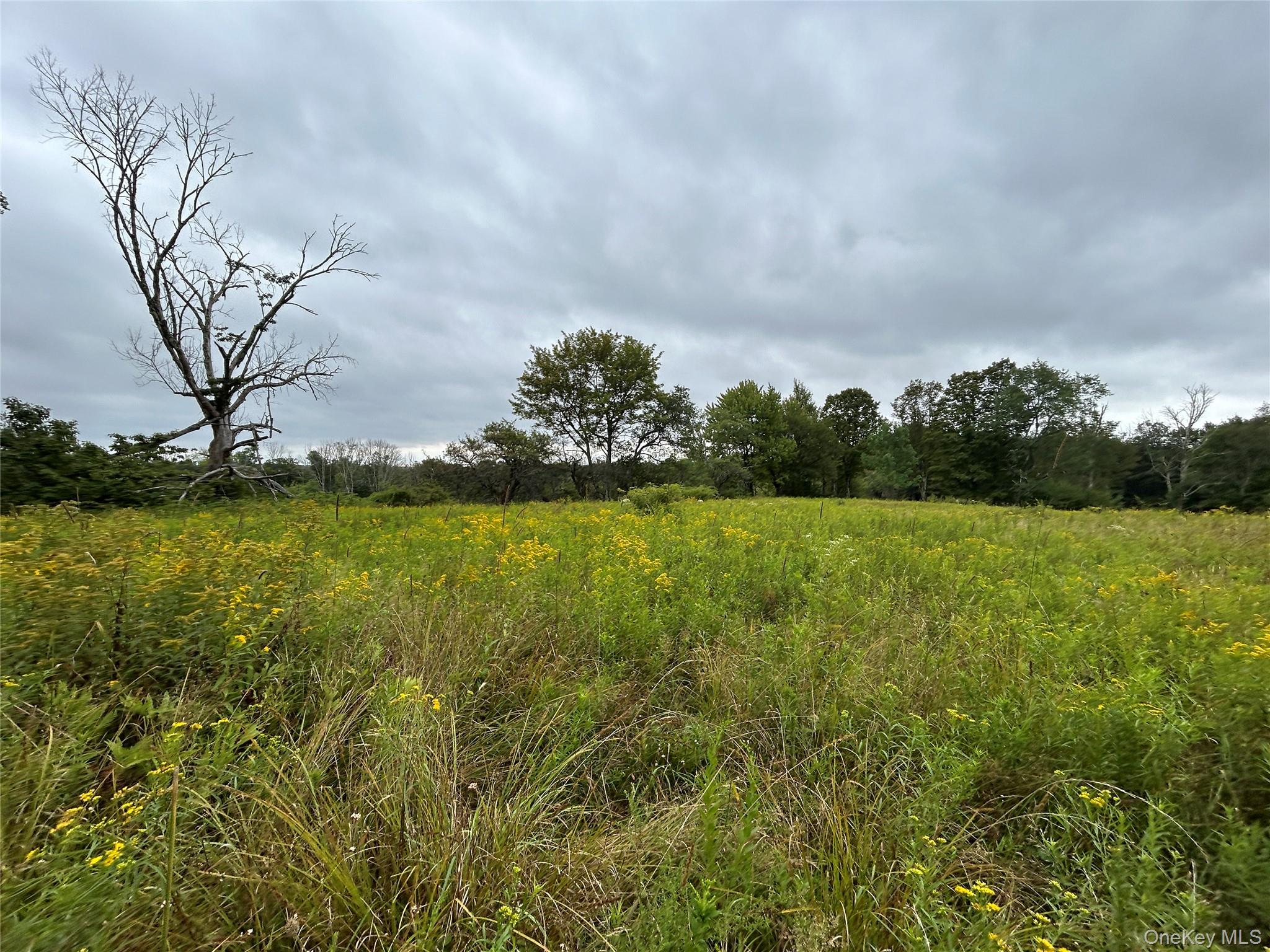 TBD Ahrens Road, Parksville, NY 12768