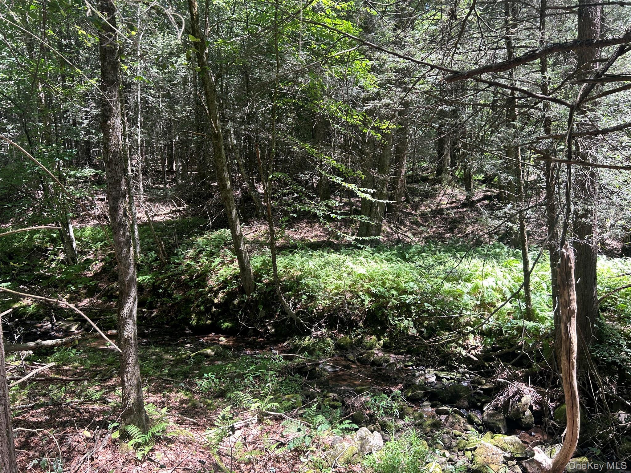 TBD Ahrens Road, Parksville, NY 12768