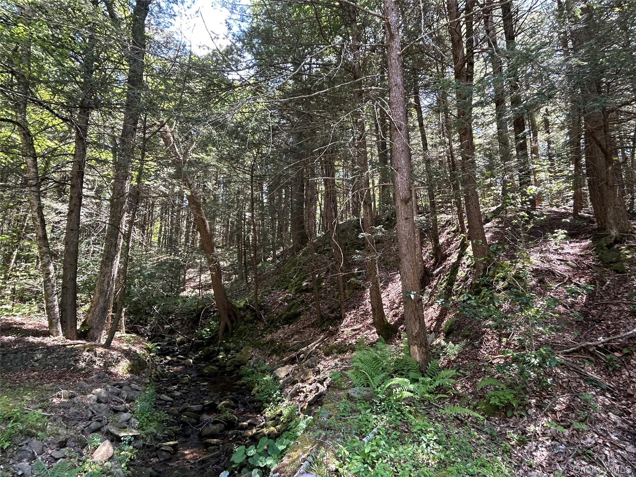 TBD Ahrens Road, Parksville, NY 12768