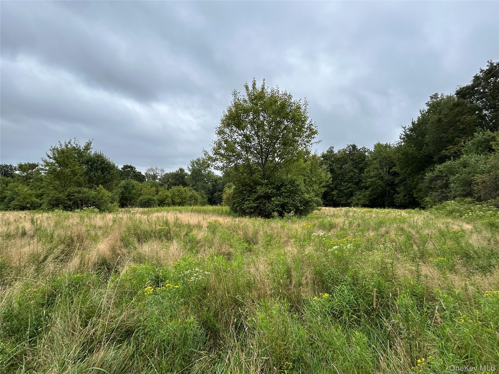 TBD Ahrens Road, Parksville, NY 12768