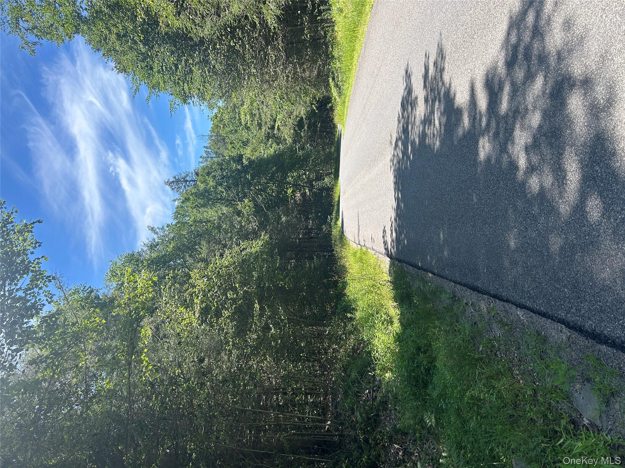 TBD Ahrens Road, Parksville, NY 12768