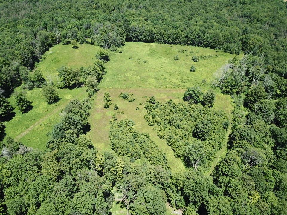 TBD Ahrens Road, Parksville, NY 12768