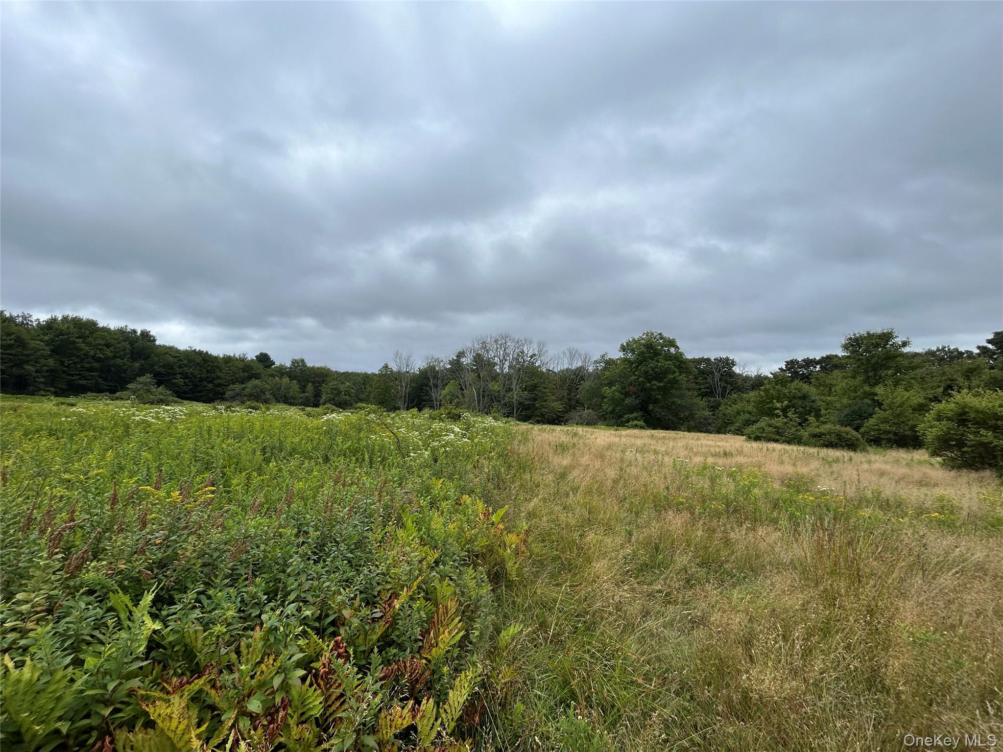 TBD Ahrens Road, Parksville, NY 12768