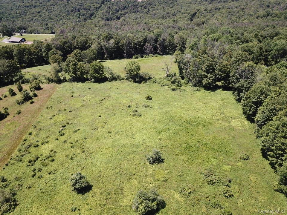 TBD Ahrens Road, Parksville, NY 12768