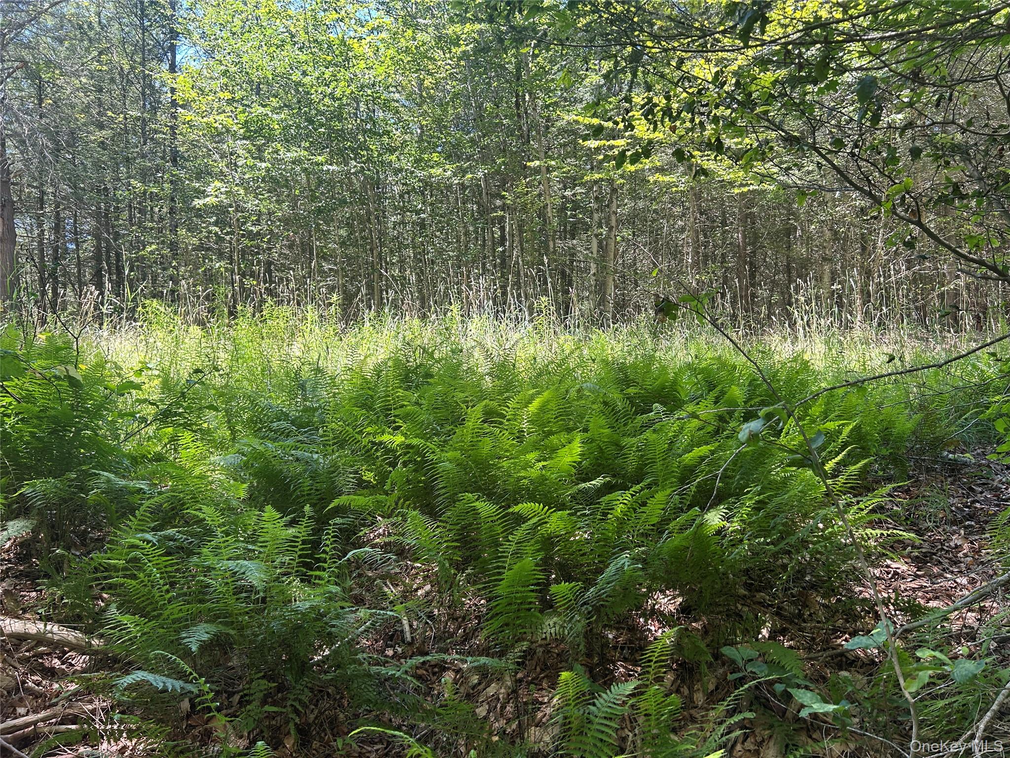 TBD Ahrens Road, Parksville, NY 12768