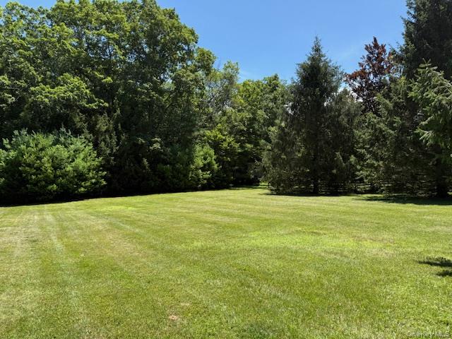 13 Corkscrew Road, Barryville, NY 12719