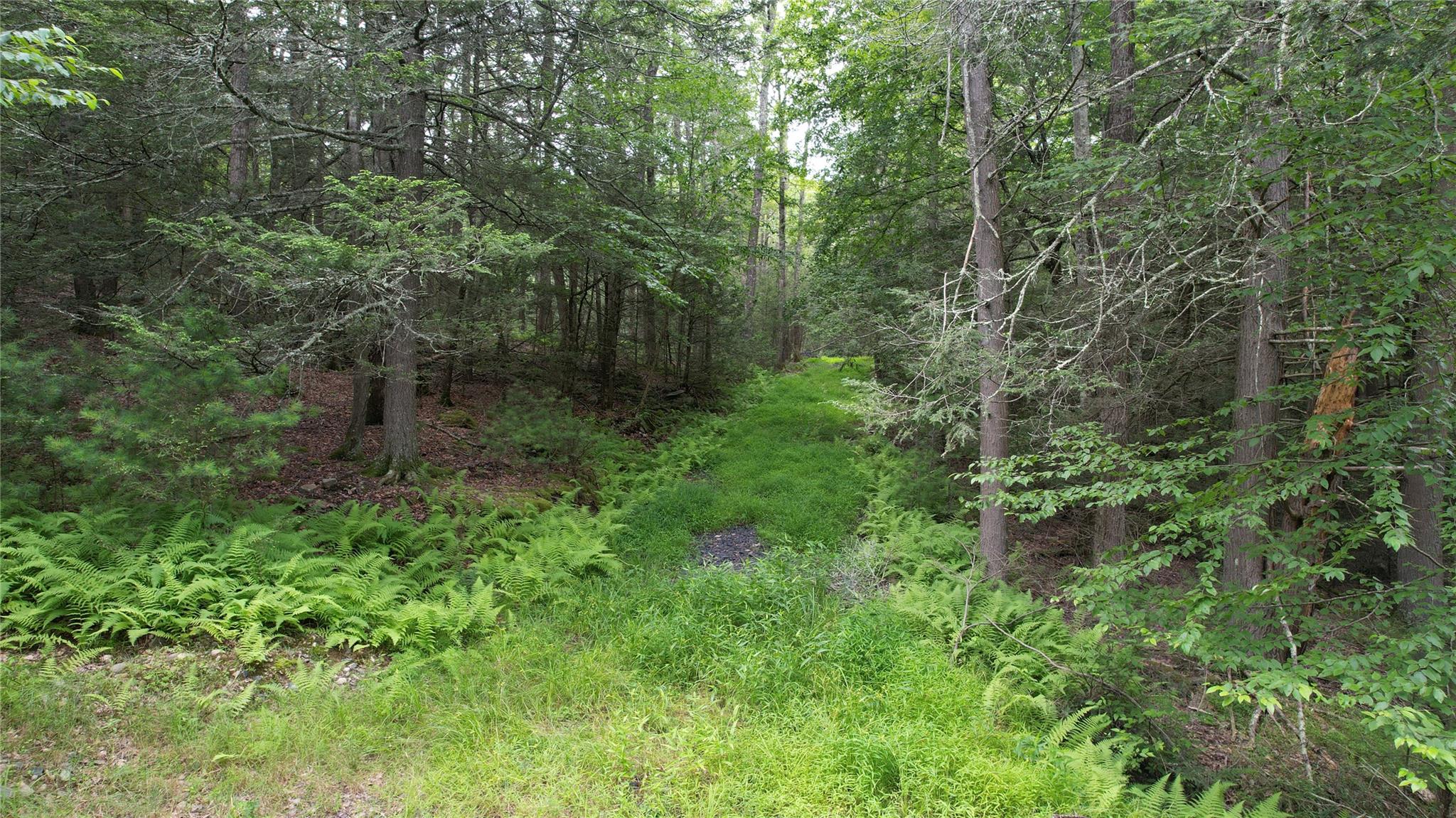 141 Brandt Road, Cuddebackville, NY 12729