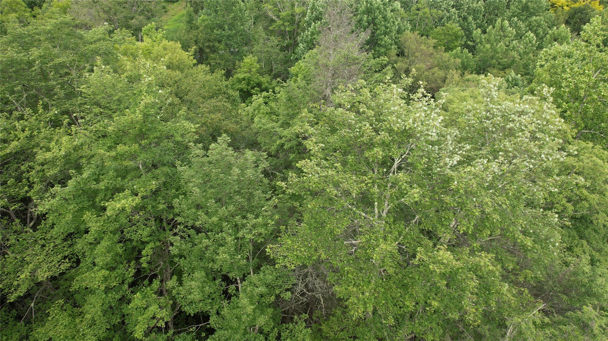 141 Brandt Road, Cuddebackville, NY 12729