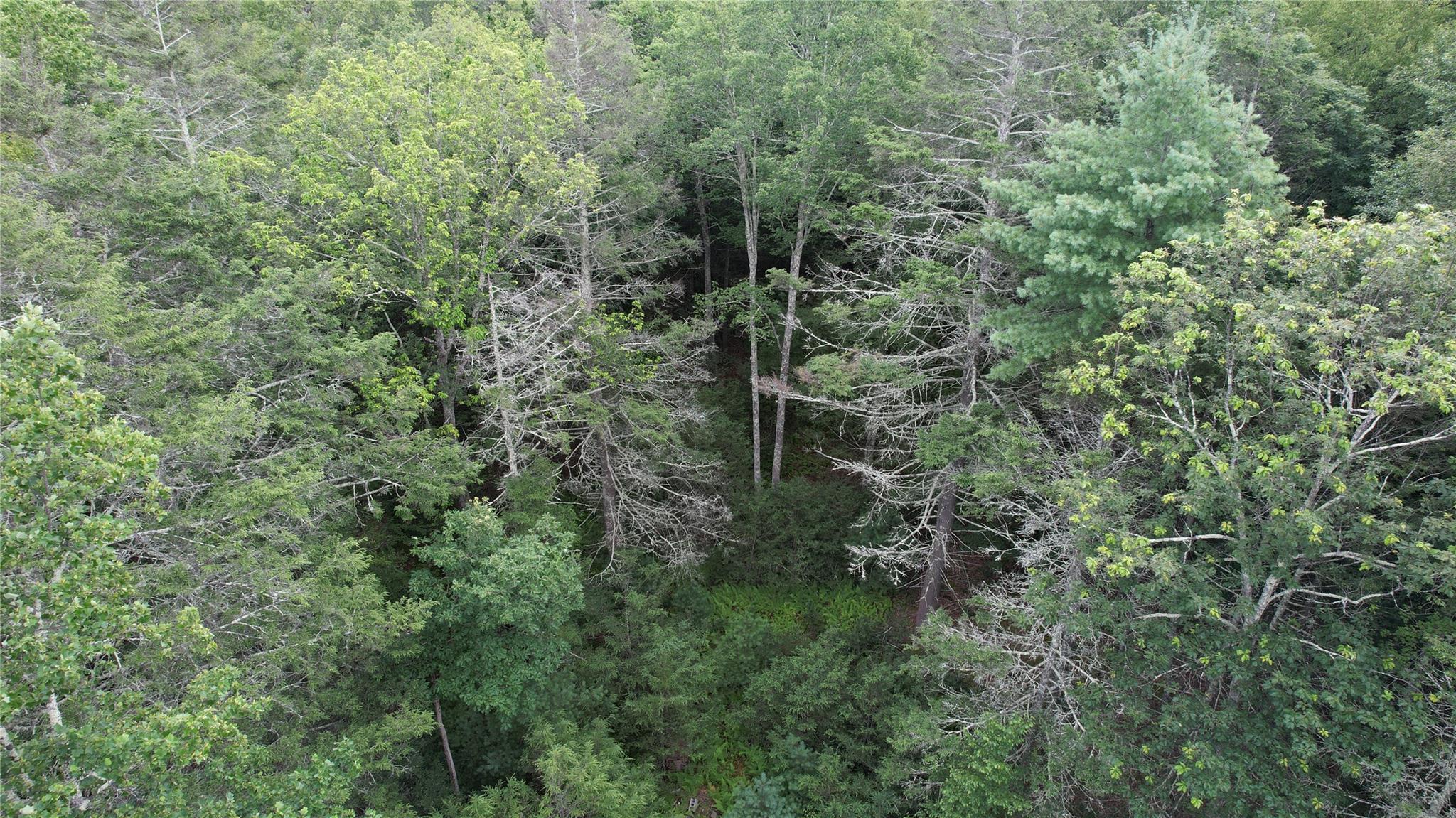 141 Brandt Road, Cuddebackville, NY 12729