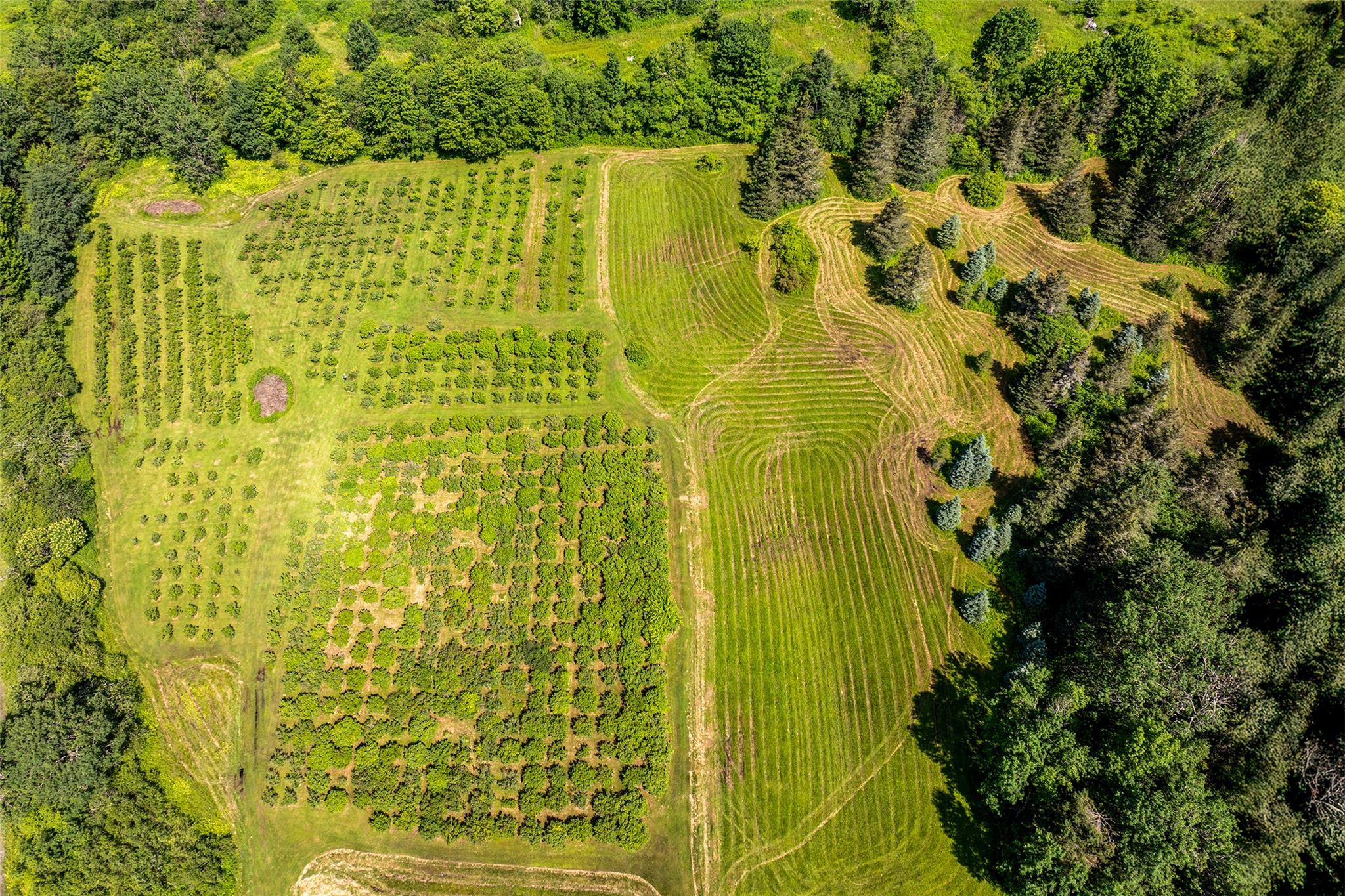 361 Warren Road, Delhi, NY 13753