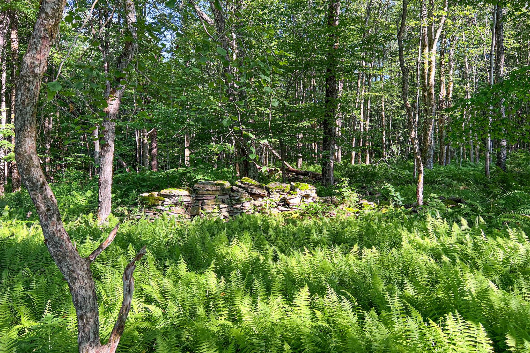 361 Warren Road, Delhi, NY 13753