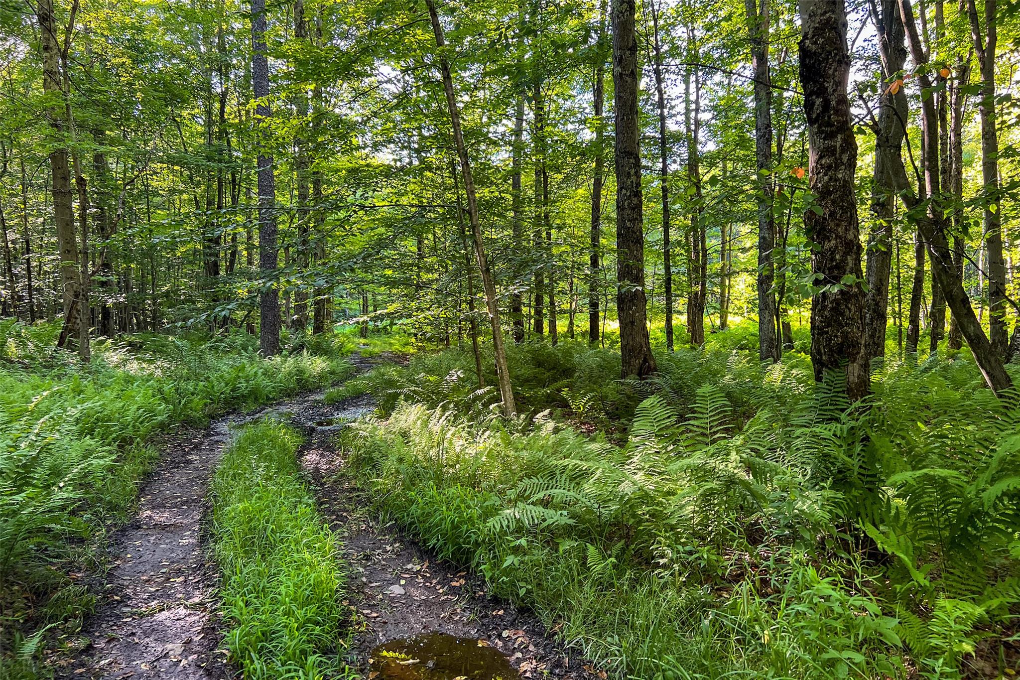 361 Warren Road, Delhi, NY 13753