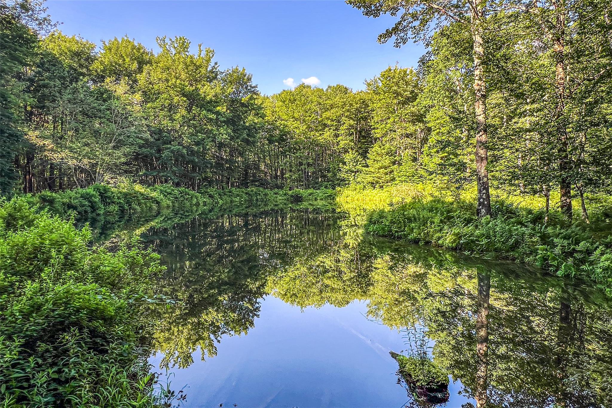 361 Warren Road, Delhi, NY 13753