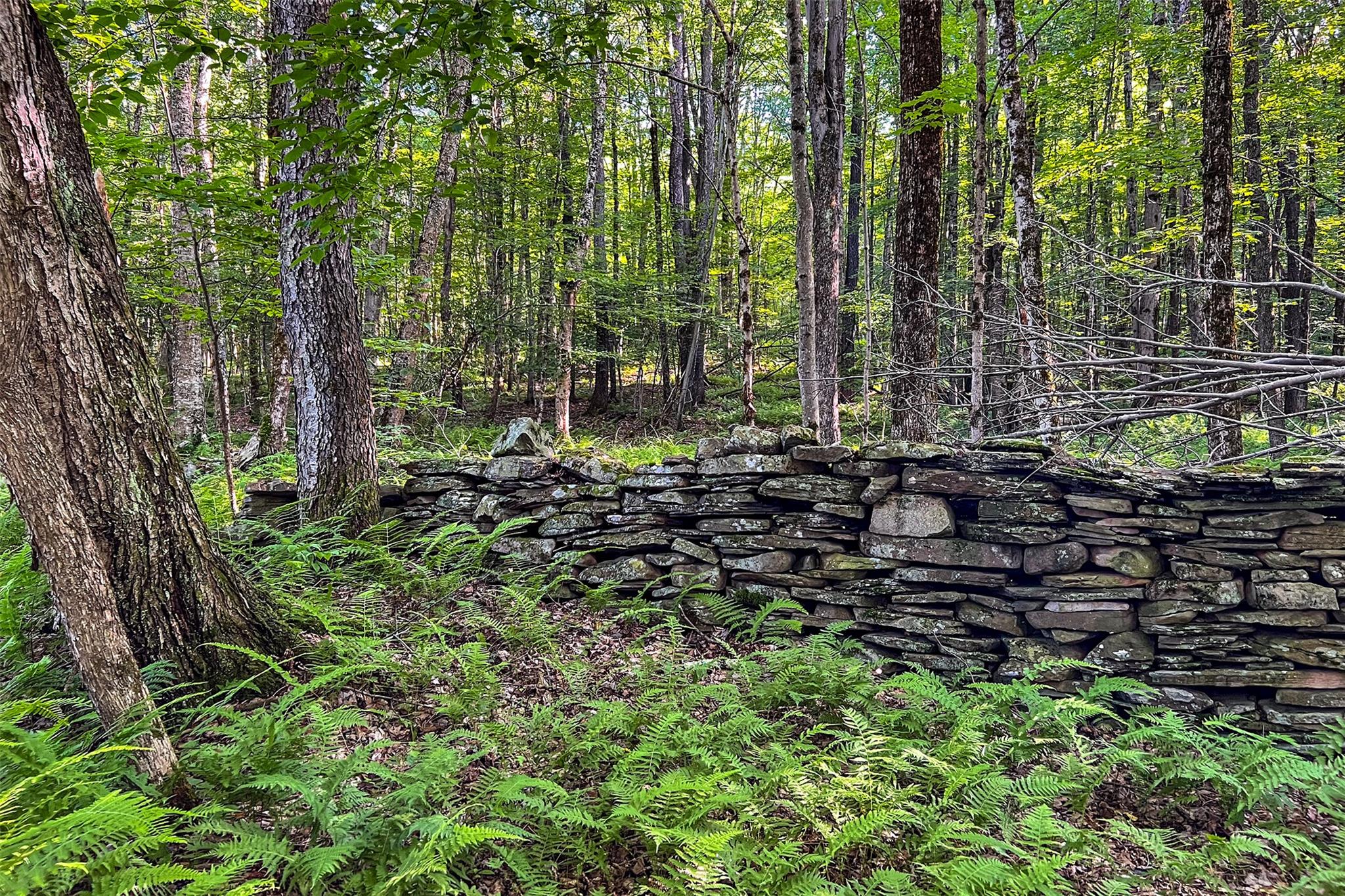 361 Warren Road, Delhi, NY 13753