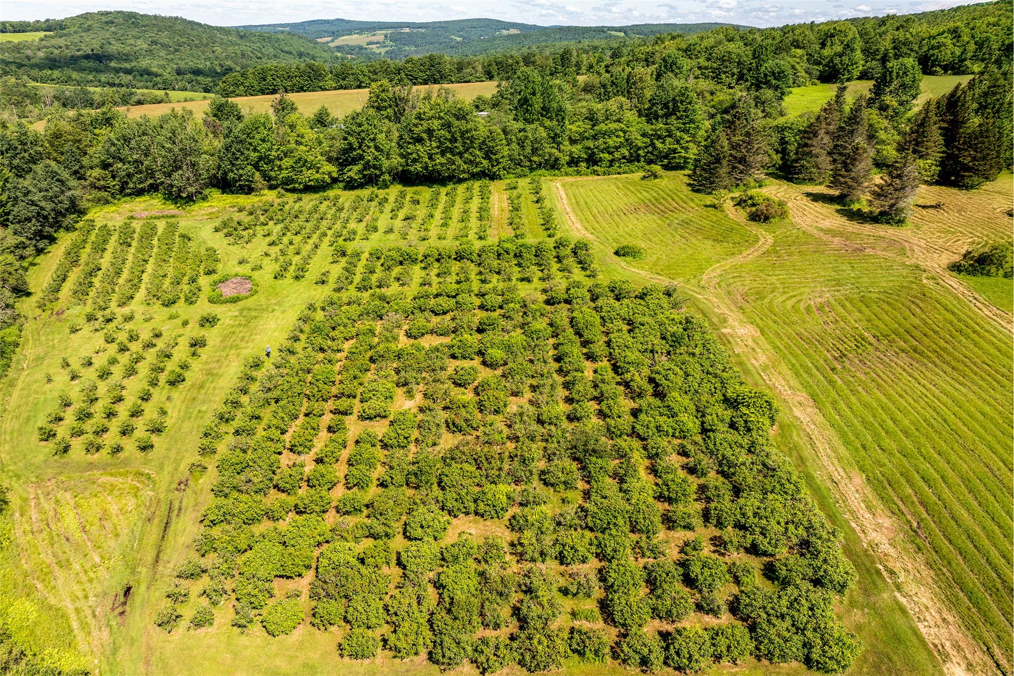 361 Warren Road, Delhi, NY 13753