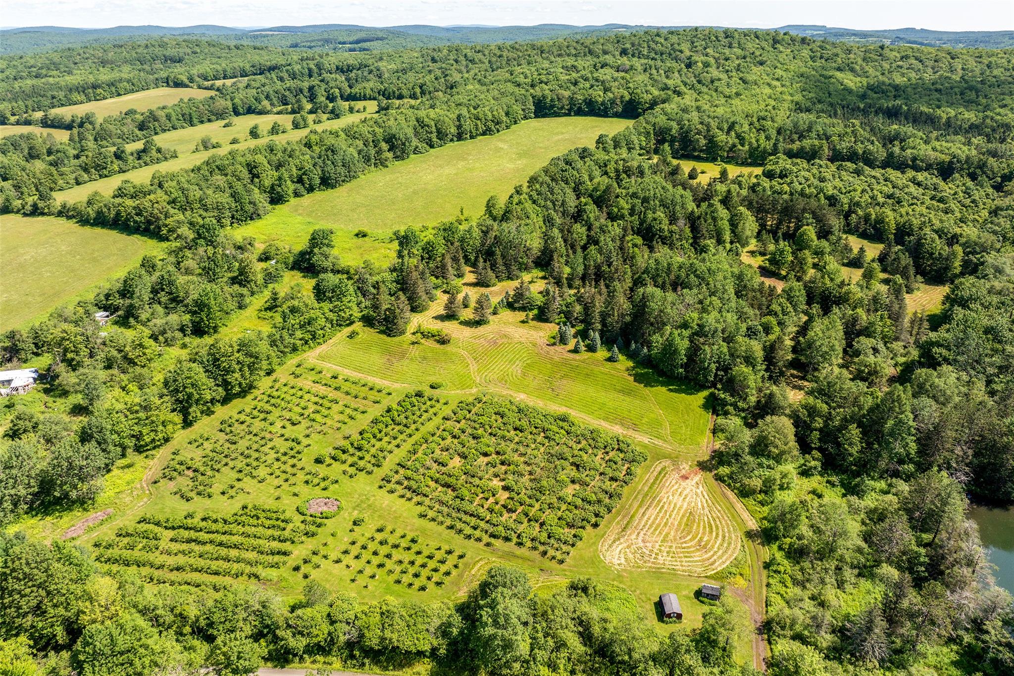 361 Warren Road, Delhi, NY 13753